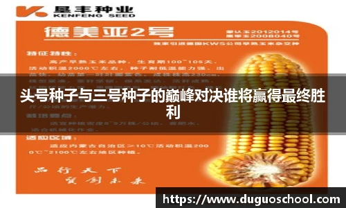 头号种子与三号种子的巅峰对决谁将赢得最终胜利